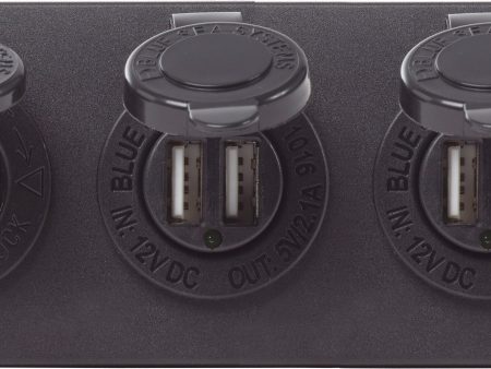 Blue Sea Water-Resistant 12V 15A Circuit Accessory Panel Socket, 2-Dual USB, Volt Meter Online now